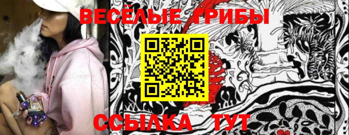 Галлюциногенные грибы Psilocybine cubensis Шарыпово